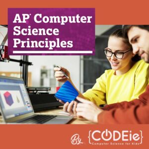 AP Computer Science Principles