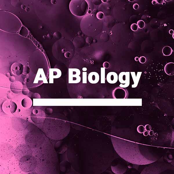 AP Biology